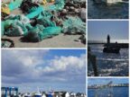 LE GUILVINEC - Arrivée des bâteaux de pêche et déchargement
