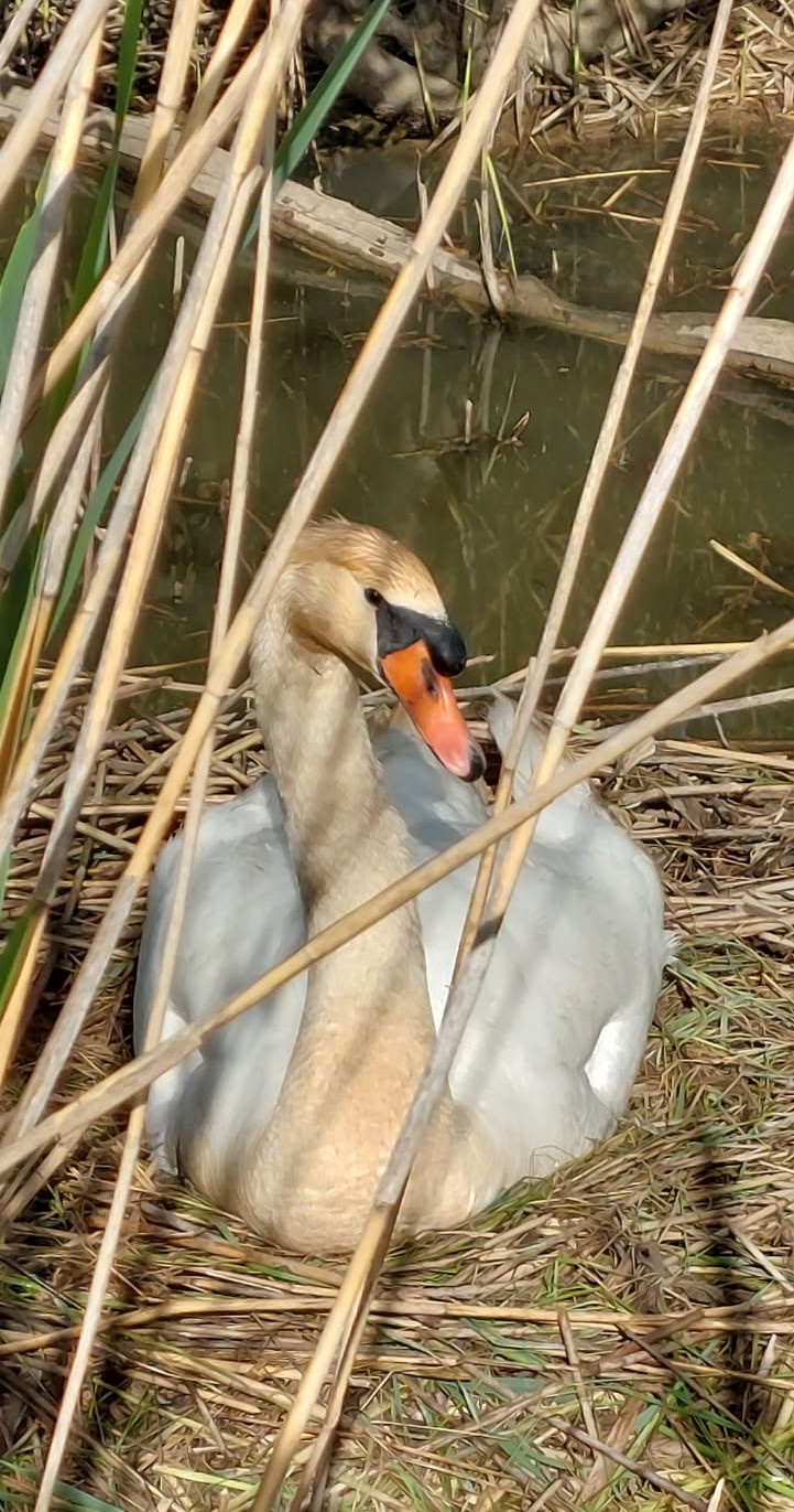 RANDONNÉES SPORTIVES AVEC JEAN MARIE